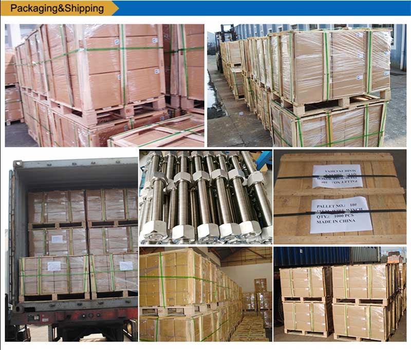 ステンレス鋼リストボルトネジファスナーパッキング